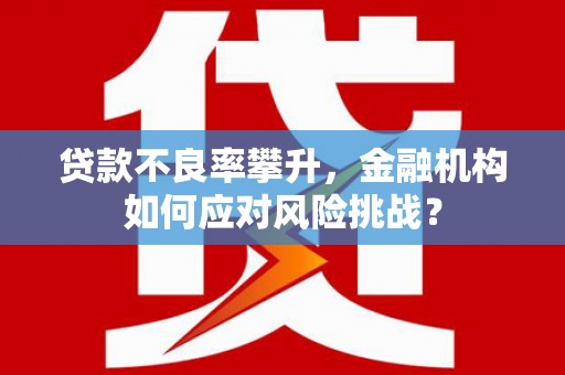 道里贷款不良率攀升，金融机构如何应对风险挑战？