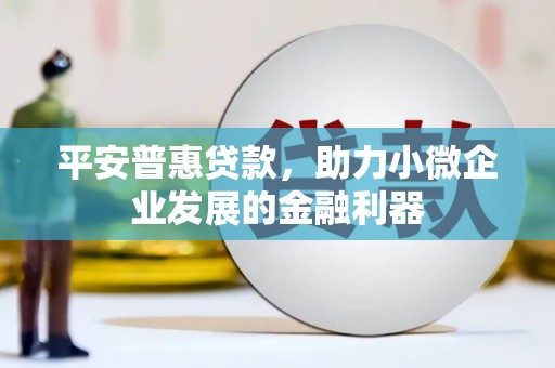 道里平安普惠贷款，助力小微企业发展的金融利器