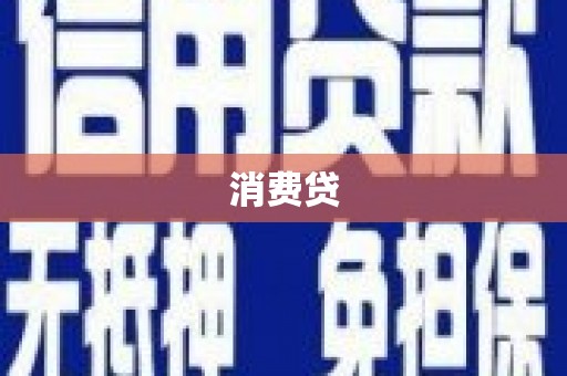 道里消费贷