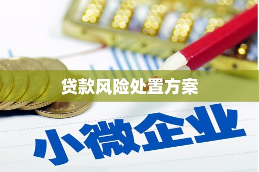 道里贷款风险处置方案