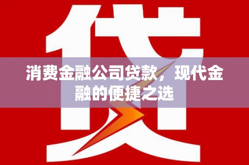 道里消费金融公司贷款，现代金融的便捷之选