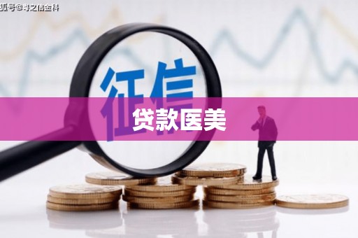 道里贷款医美