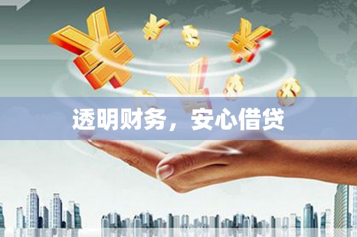 道里透明财务，安心借贷