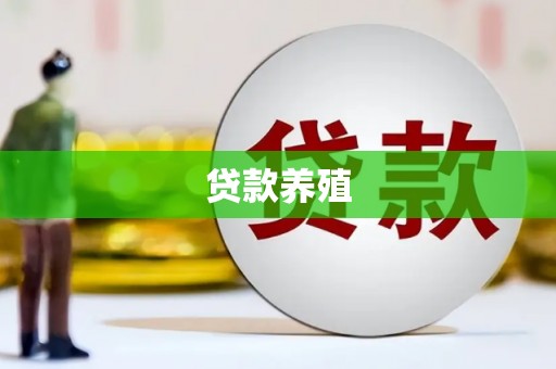 道里贷款养殖