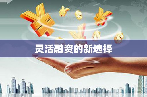 道里灵活融资的新选择