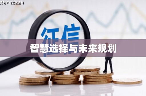 道里智慧选择与未来规划