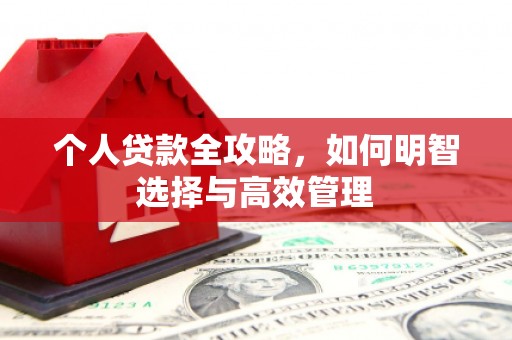 道里个人贷款全攻略，如何明智选择与高效管理