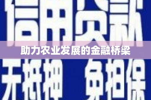道里助力农业发展的金融桥梁