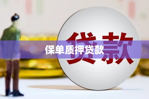 道里保单质押贷款