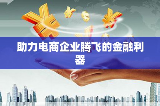 道里助力电商企业腾飞的金融利器