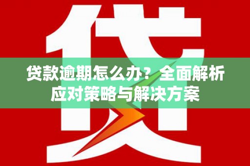 道里贷款逾期怎么办？全面解析应对策略与解决方案