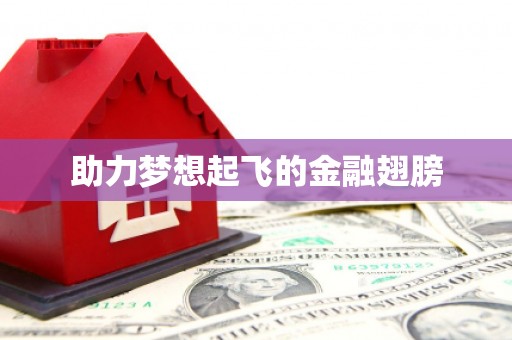 道里助力梦想起飞的金融翅膀