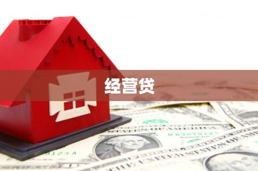 道里经营贷