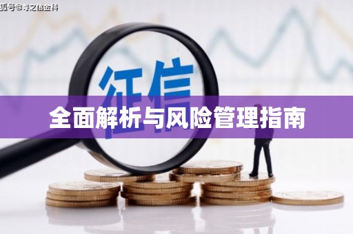 道里全面解析与风险管理指南