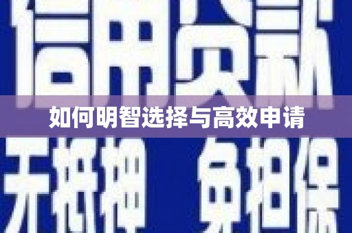 道里如何明智选择与高效申请
