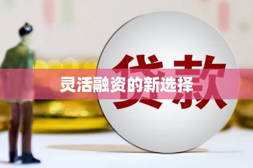 道里灵活融资的新选择