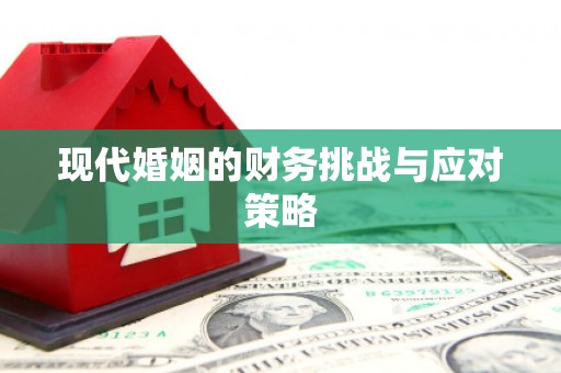 道里现代婚姻的财务挑战与应对策略