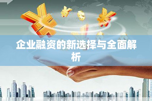 道里企业融资的新选择与全面解析