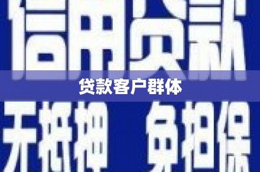 道里贷款客户群体