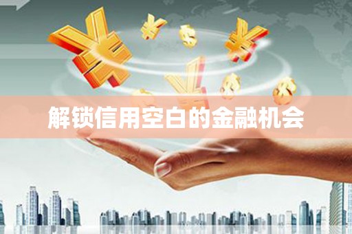 道里解锁信用空白的金融机会