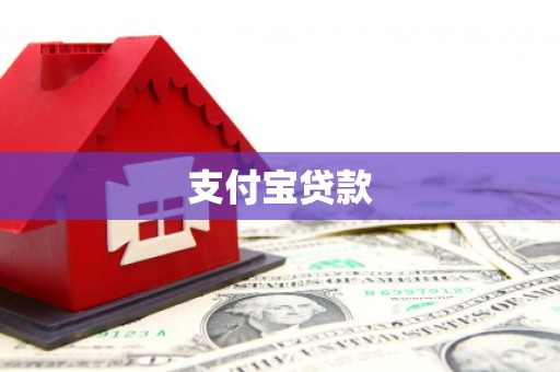 道里支付宝贷款