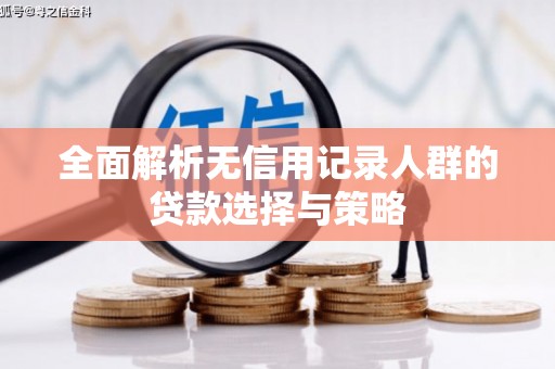 道里全面解析无信用记录人群的贷款选择与策略