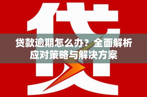 道里贷款逾期怎么办？全面解析应对策略与解决方案