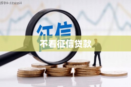 道里不看征信贷款