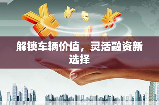 道里解锁车辆价值，灵活融资新选择