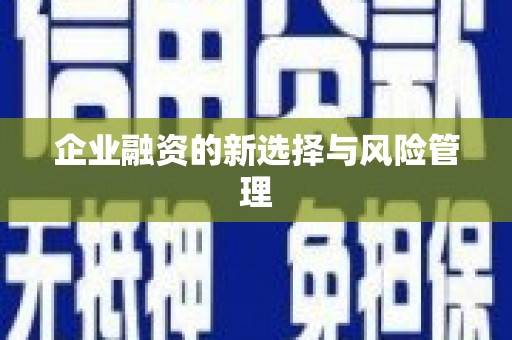 道里企业融资的新选择与风险管理