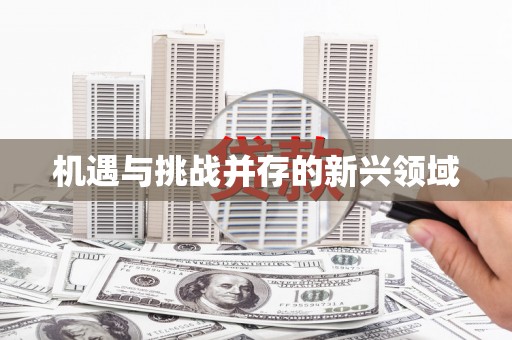 道里机遇与挑战并存的新兴领域
