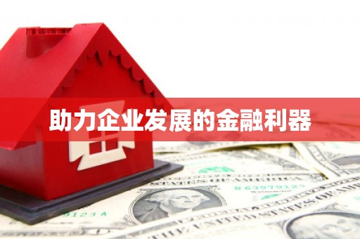道里助力企业发展的金融利器