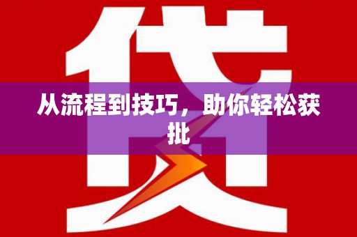 道里从流程到技巧，助你轻松获批