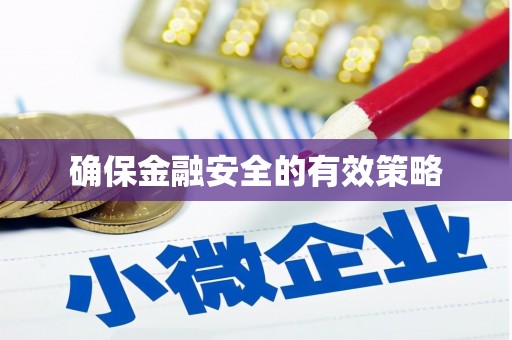 道里确保金融安全的有效策略