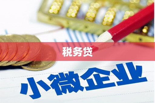 道里税务贷