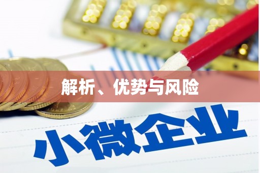 道里解析、优势与风险