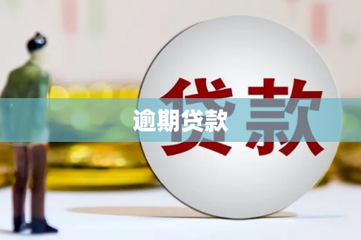 道里逾期贷款