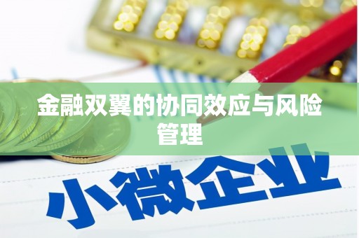 道里金融双翼的协同效应与风险管理