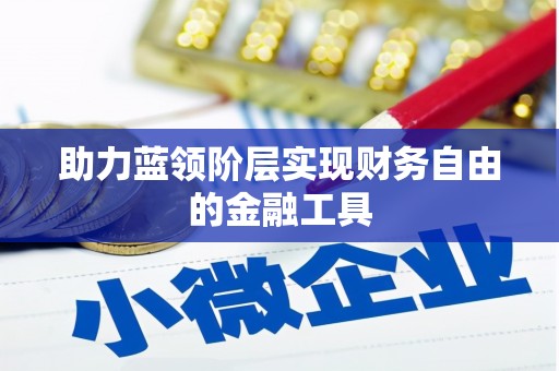 道里助力蓝领阶层实现财务自由的金融工具