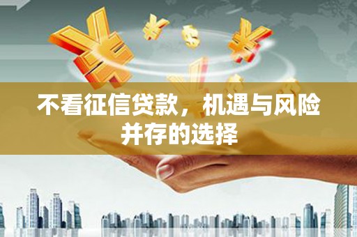 道里不看征信贷款，机遇与风险并存的选择