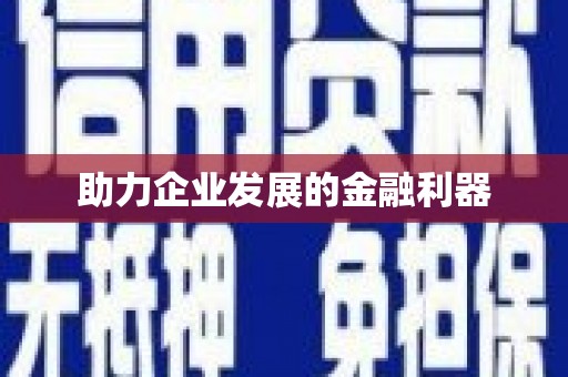 道里助力企业发展的金融利器