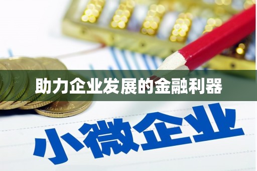 道里助力企业发展的金融利器